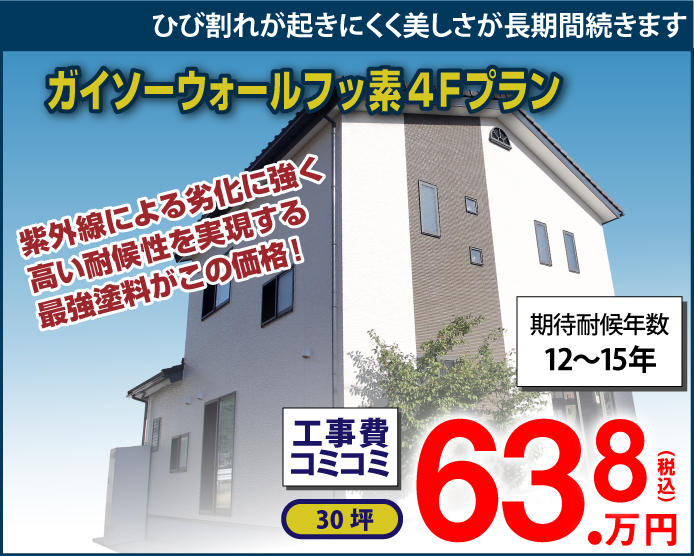 ガイソーウォールプランフッ素4Fプラン